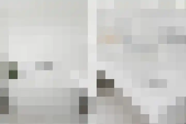 Rottekade 210 Bergschenhoek thumbnail 49