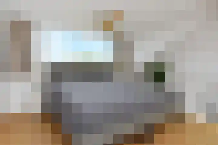 Rottekade 210 Bergschenhoek thumbnail 58