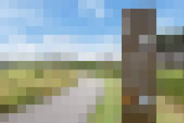 Rottekade 210 Bergschenhoek thumbnail 68