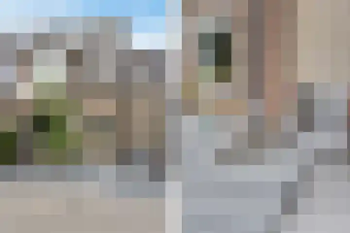 Rottekade 210 Bergschenhoek thumbnail 7