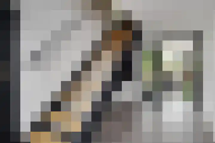 Rottekade 210 Bergschenhoek thumbnail 8