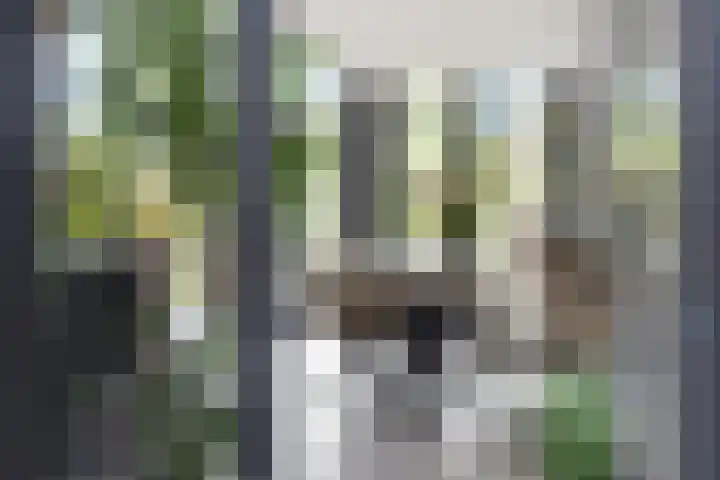 Rottekade 210 Bergschenhoek thumbnail 9