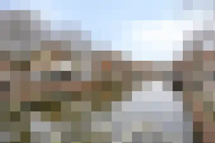 Rotterdamsedijk 252 D Schiedam thumbnail 31