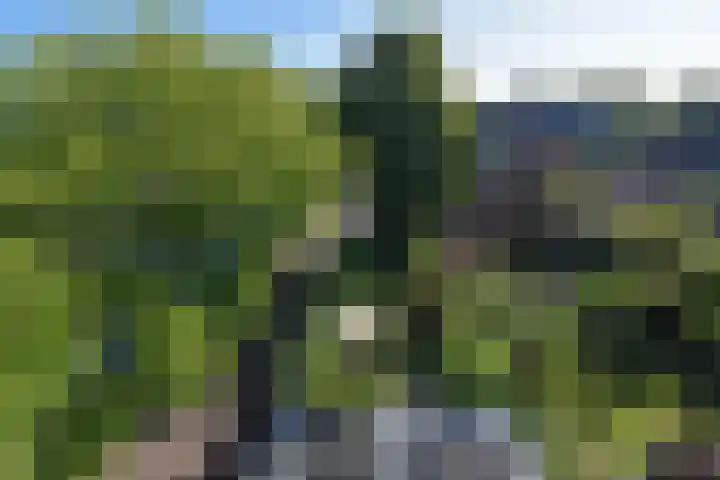 Rotterdamseweg 1 Delft thumbnail 26