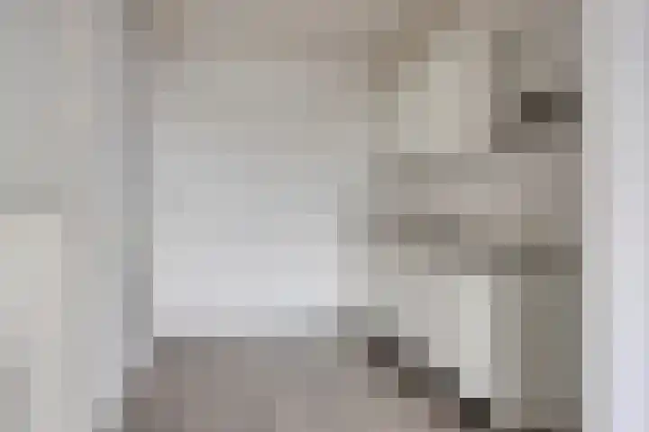 Rottumerplaat 37 Zwolle thumbnail 12