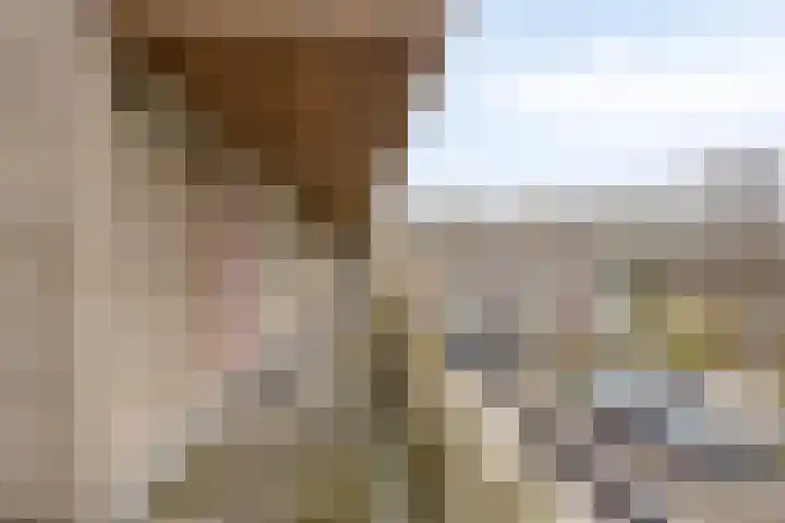 Rottumerplaat 37 Zwolle thumbnail 31