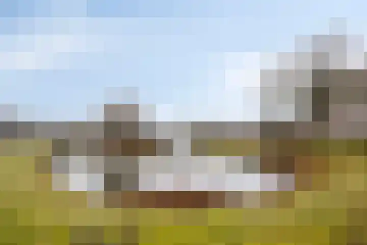 Rottumerplaat 37 Zwolle thumbnail 40