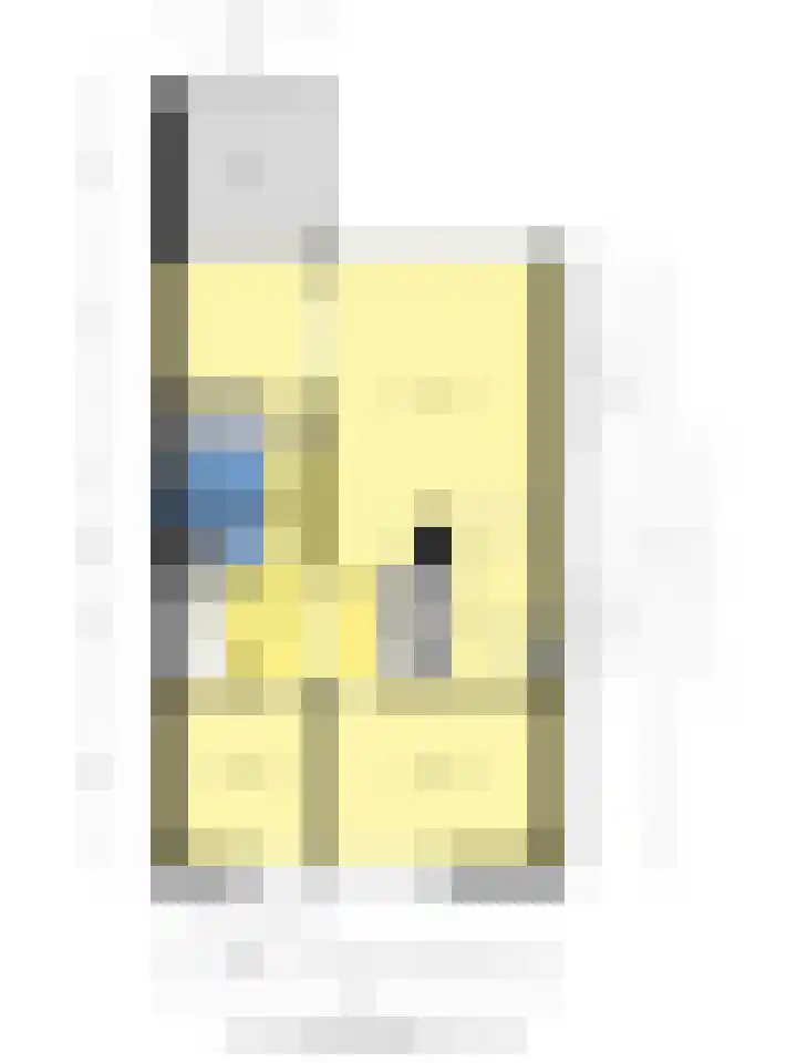 Rottumerplaat 37 Zwolle thumbnail 41