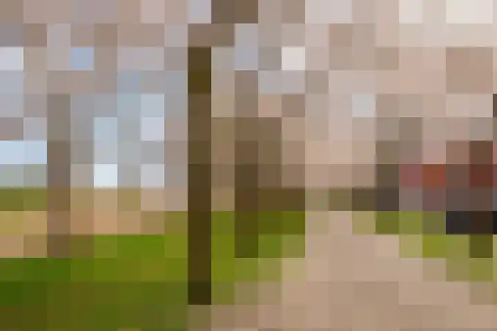 Rougestraat 3 Almere thumbnail 59