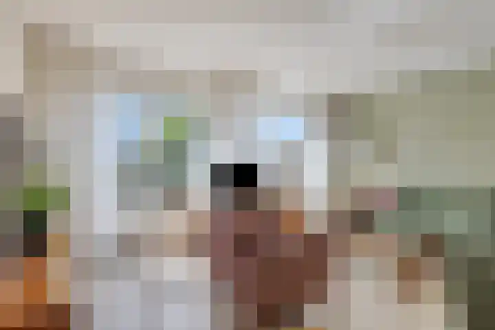 Rousselpad 4 Spijkenisse thumbnail 4