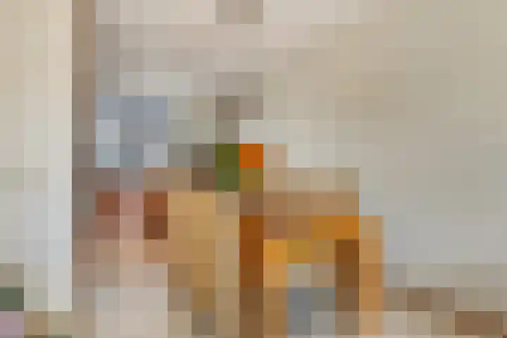 Rousselpad 4 Spijkenisse thumbnail 7