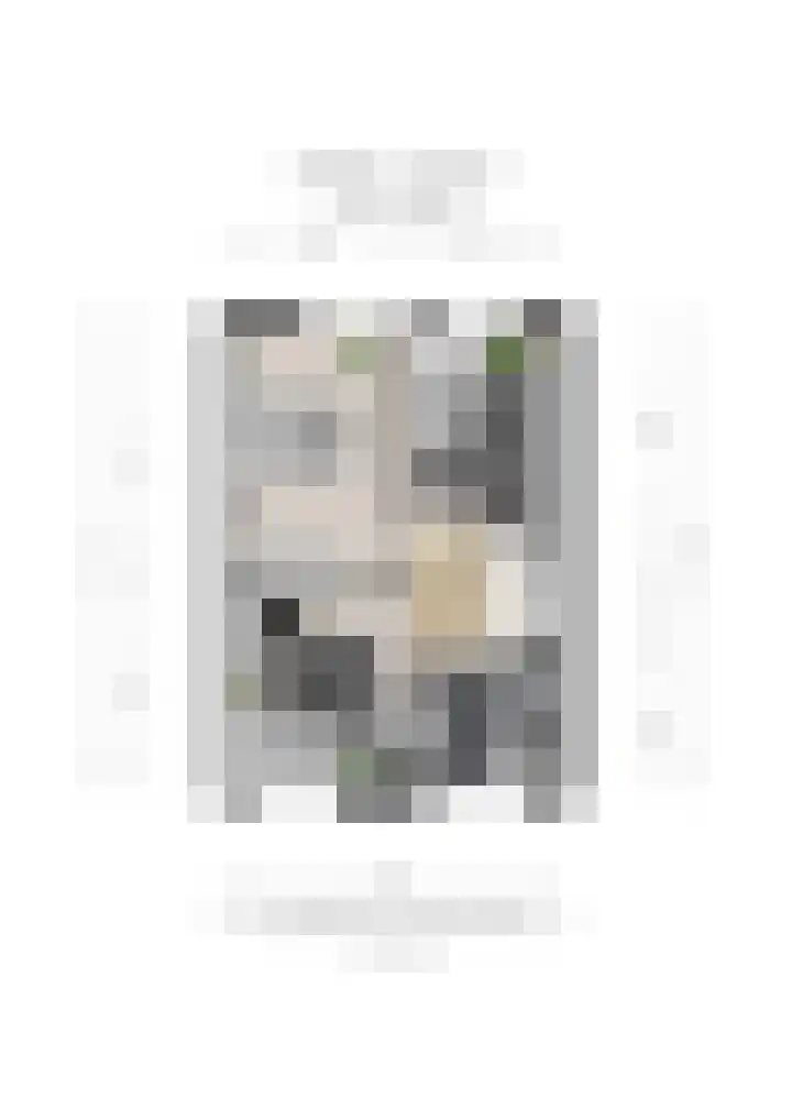 Royenstein 14 Amerongen thumbnail 24