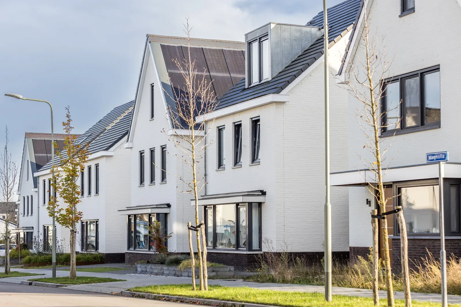 Team foto van Royworks