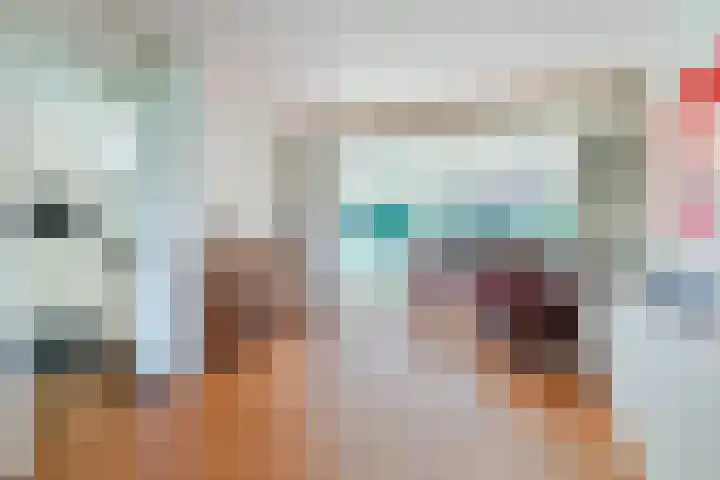 Rozelaar 12 Geldrop thumbnail 13