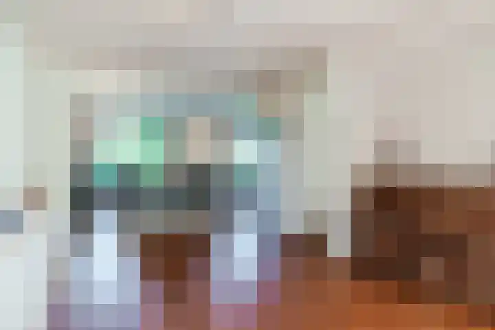 Rozelaar 12 Geldrop thumbnail 15