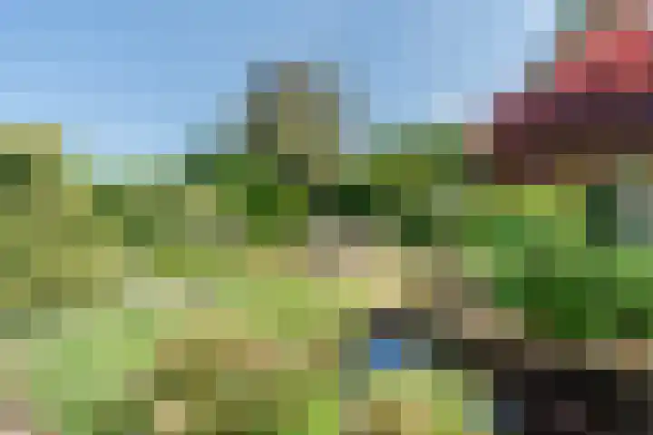 Rozelaar 12 Geldrop foto 3