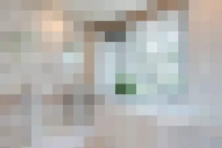 Rozelaar 12 Geldrop thumbnail 35