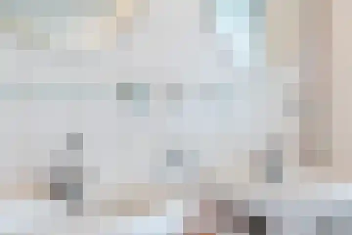 Rozelaar 12 Geldrop thumbnail 36