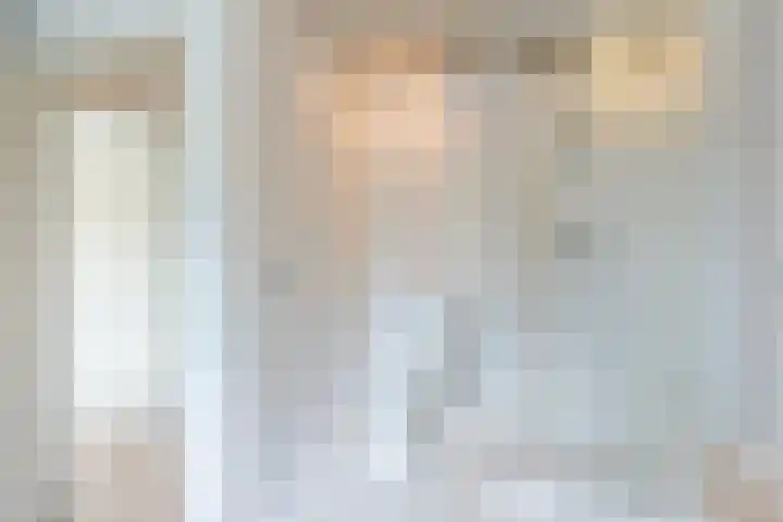 Rozelaar 12 Geldrop thumbnail 38