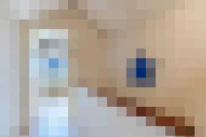 Rozelaar 12 Geldrop thumbnail 39