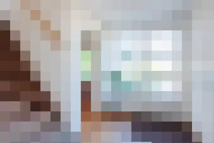 Rozelaar 12 Geldrop thumbnail 4