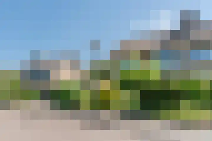 Rozelaar 12 Geldrop thumbnail 50