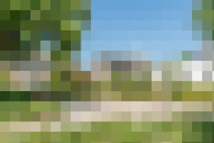 Rozelaar 12 Geldrop thumbnail 52