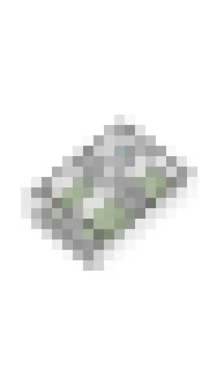 Rozelaar 12 Geldrop thumbnail 57