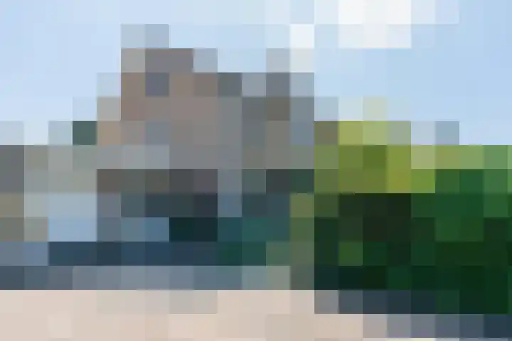 Rozelaar 12 Geldrop thumbnail 59