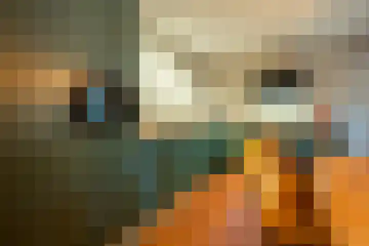 Rozemarijn 10 Vroomshoop thumbnail 13