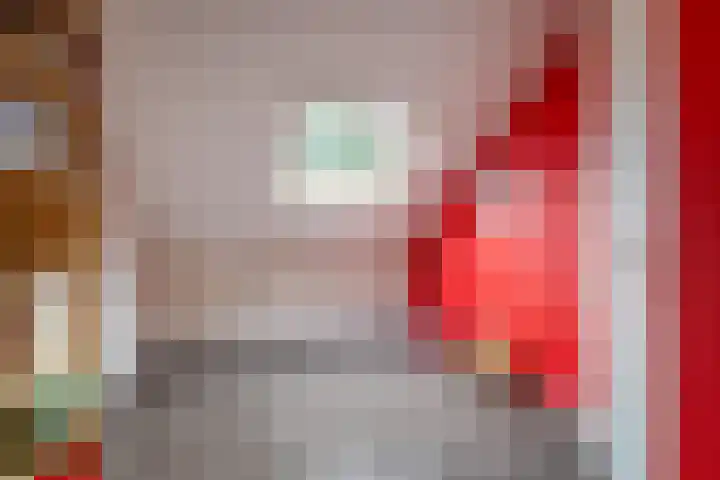 Rozemarijn 10 Vroomshoop thumbnail 18
