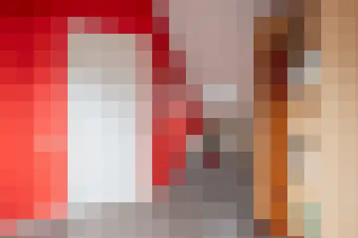 Rozemarijn 10 Vroomshoop thumbnail 19