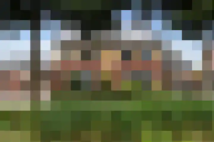 Rozemarijn 10 Vroomshoop thumbnail 21
