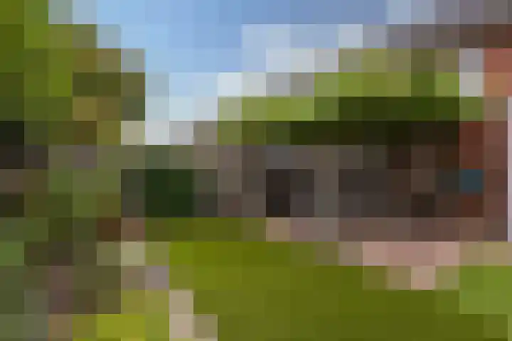 Rozemarijn 10 Vroomshoop thumbnail 22