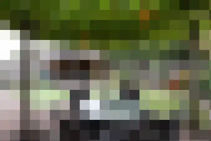 Rozemarijn 10 Vroomshoop thumbnail 26