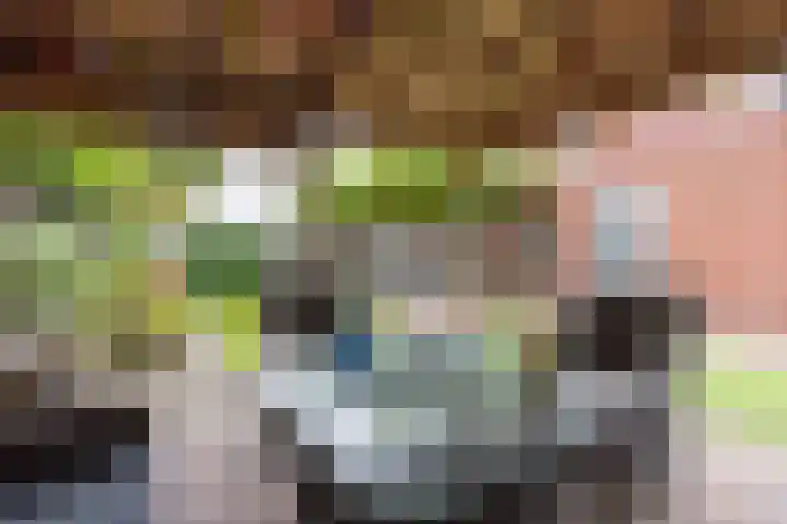 Rozemarijn 10 Vroomshoop thumbnail 27