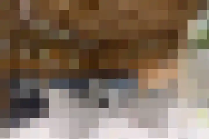 Rozemarijn 10 Vroomshoop thumbnail 28