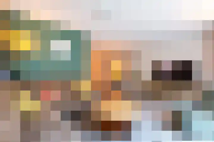 Rozemarijn 10 Vroomshoop thumbnail 8