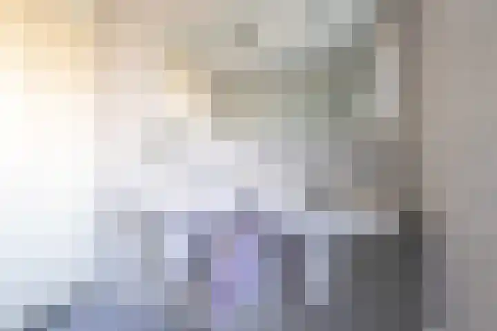 Rozemarijn 14 Vroomshoop thumbnail 18