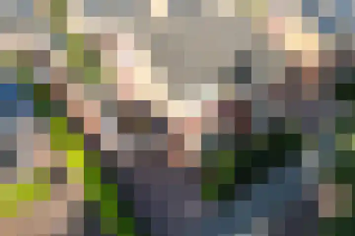 Rozemarijn 14 Vroomshoop thumbnail 28