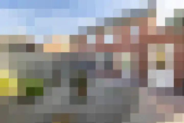 Rozemarijn 14 Vroomshoop thumbnail 29