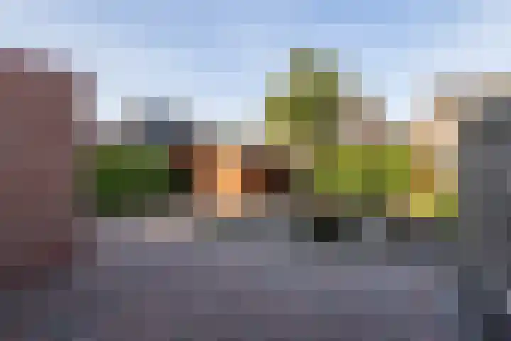 Rozemarijn 14 Vroomshoop thumbnail 30