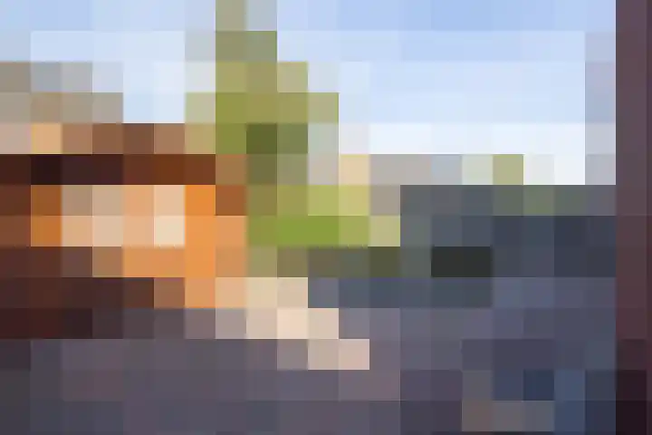 Rozemarijn 14 Vroomshoop thumbnail 31