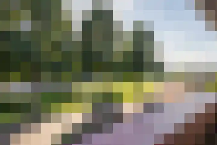 Rozemarijn 14 Vroomshoop thumbnail 34