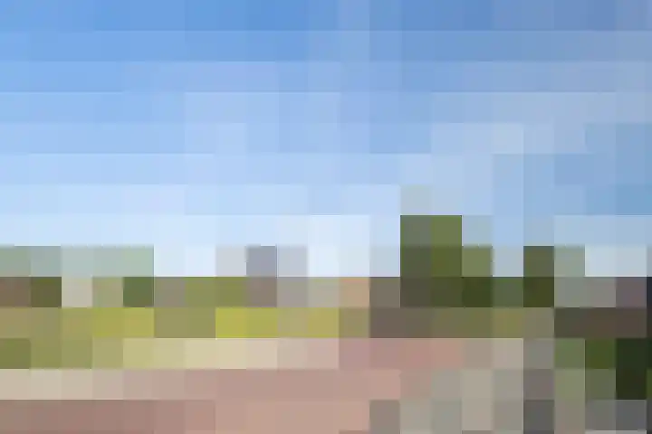 Rozemarijn 14 Vroomshoop thumbnail 35