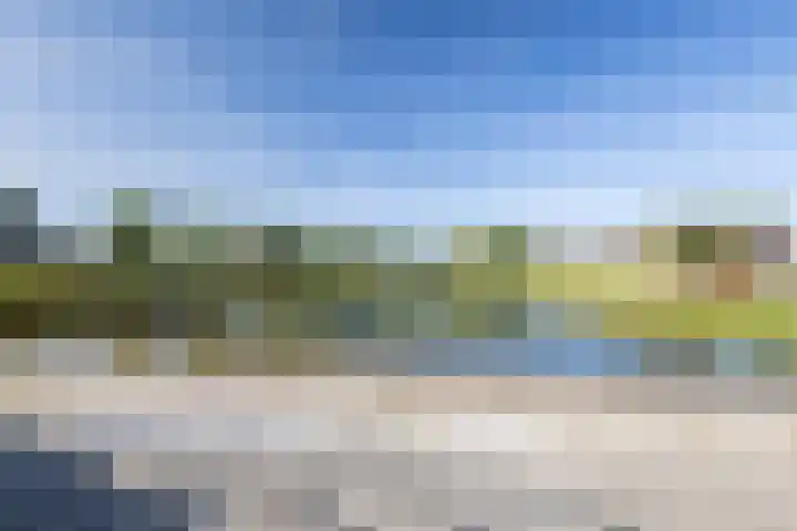 Rozemarijn 14 Vroomshoop thumbnail 36