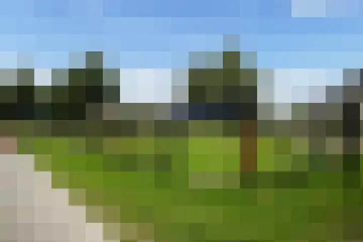 Rozemarijn 14 Vroomshoop thumbnail 37