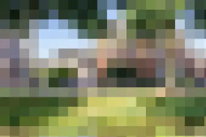 Rozemarijn 14 Vroomshoop thumbnail 5