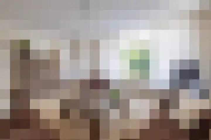 Rozemarijn 14 Vroomshoop thumbnail 9