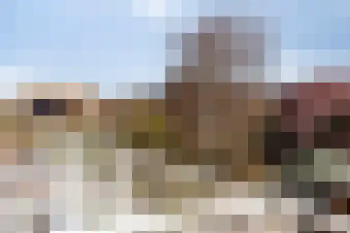 Rozemarijn 17 Monster thumbnail 11
